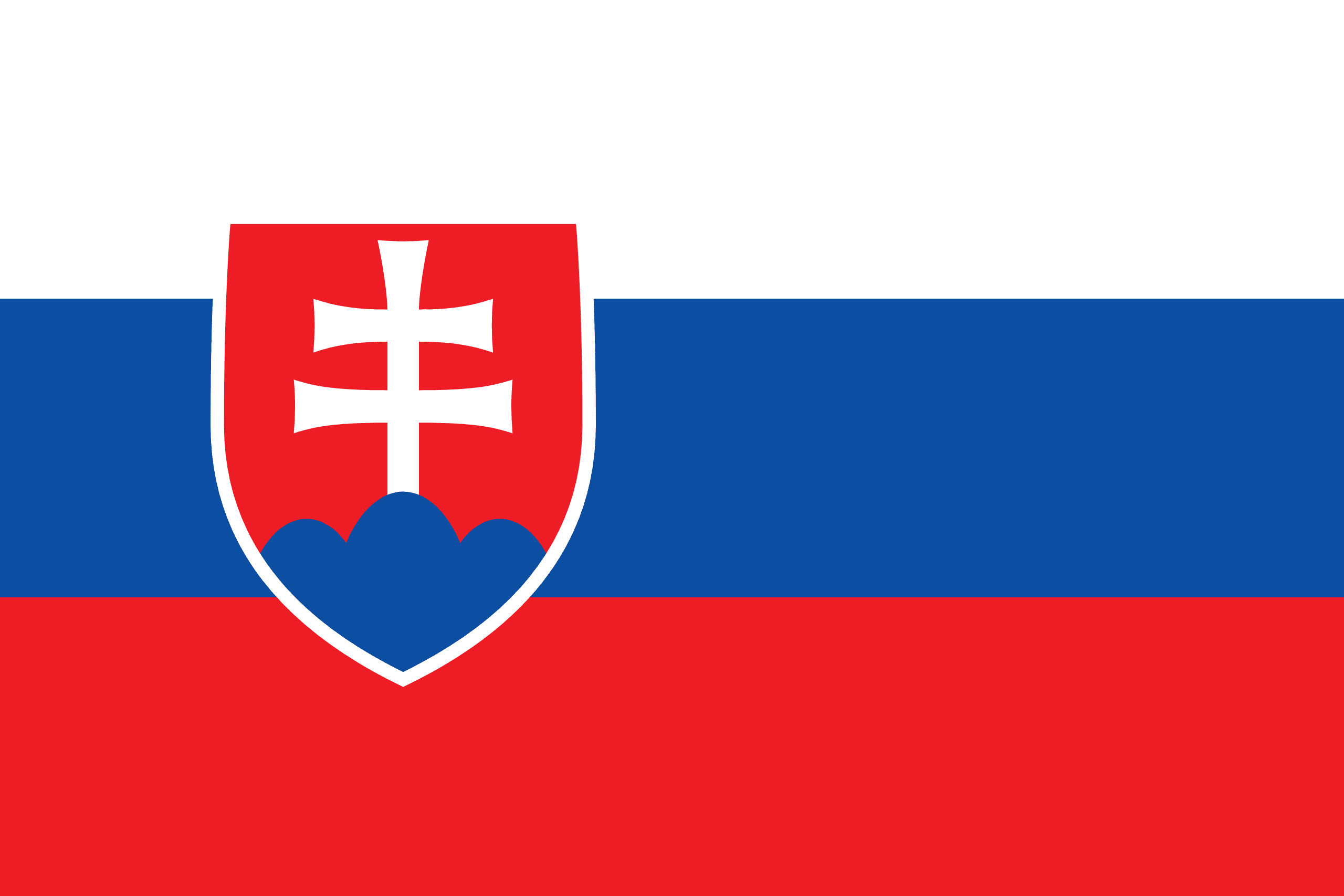 Flag of svk1